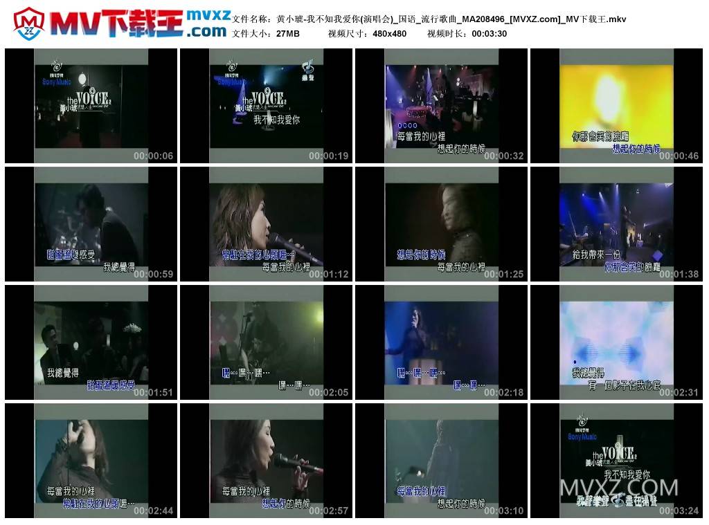 黄小琥-我不知我爱你(演唱会)_国语_流行歌曲_MA208496